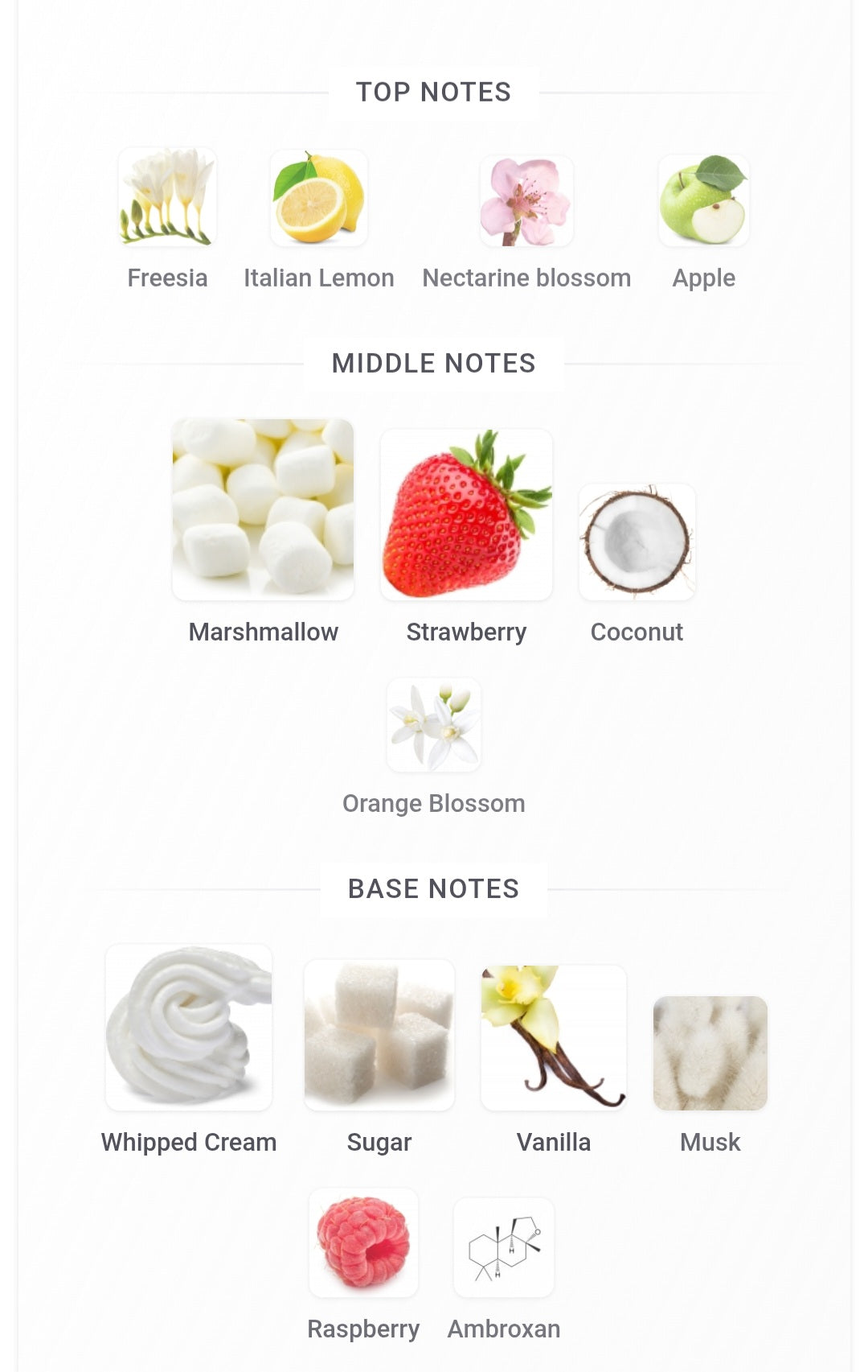 Fragrance World | Elysia Marshmallow (100 ml)