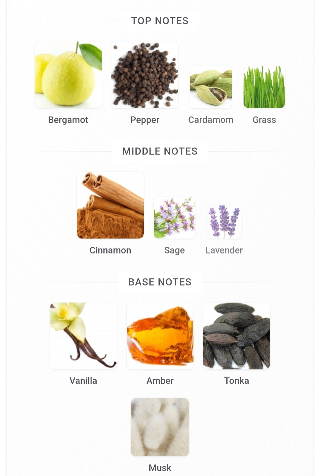 Fragrance World | Proud Of You Intense