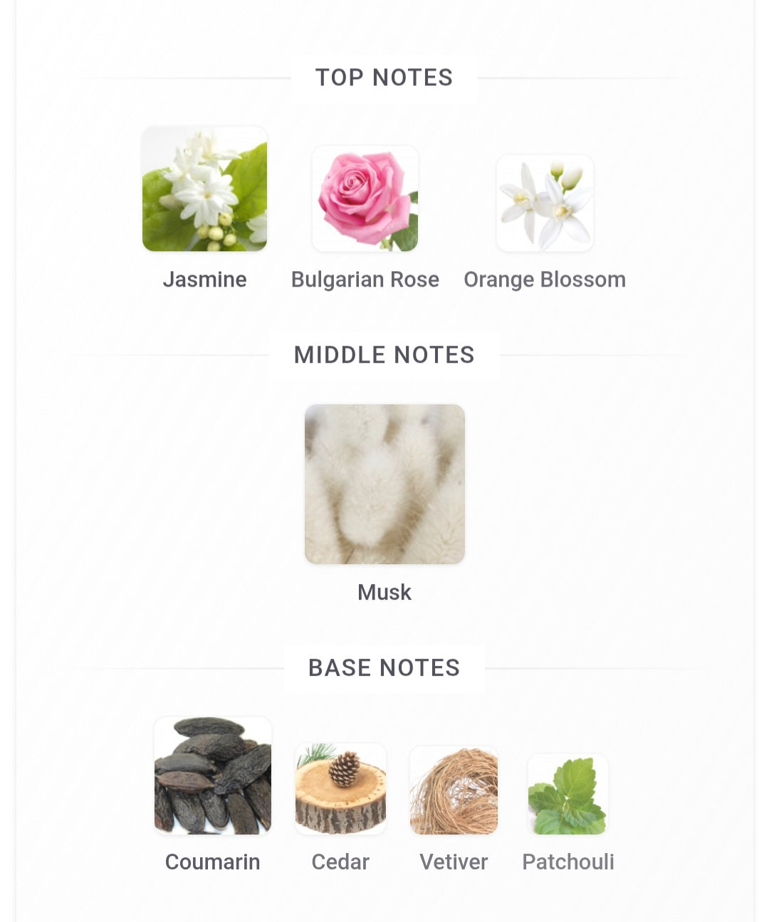 Posh Powdery
